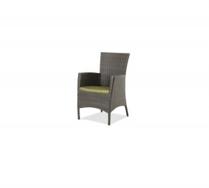 Palm Harbor Dining Arm Chair with Cushion – Resin & Aluminum - Ratana